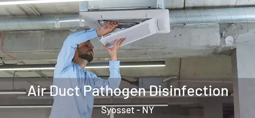  Air Duct Pathogen Disinfection Syosset - NY