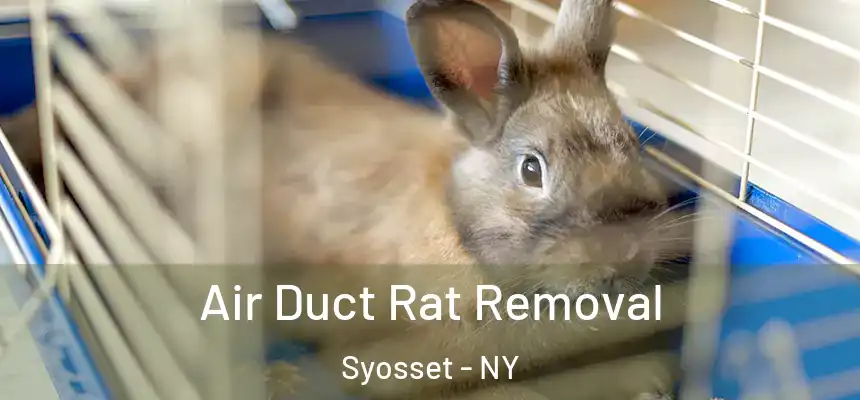  Air Duct Rat Removal Syosset - NY