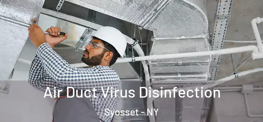  Air Duct Virus Disinfection Syosset - NY