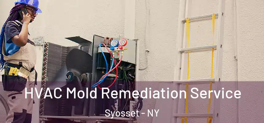  HVAC Mold Remediation Service Syosset - NY
