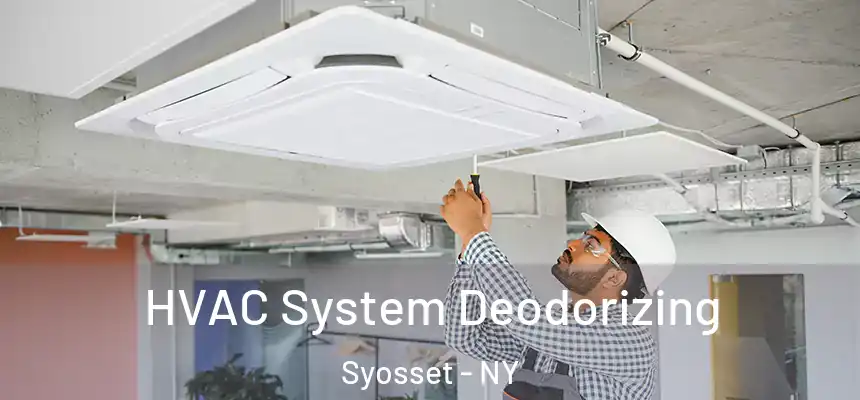 HVAC System Deodorizing Syosset - NY