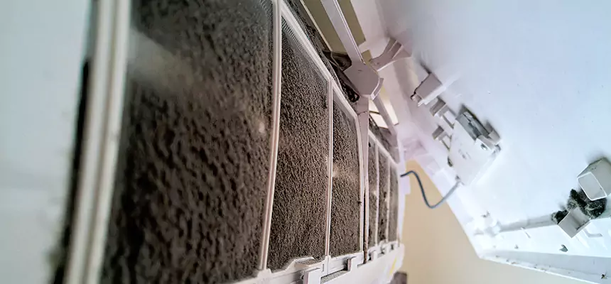 Preventive Air Duct Bacteria Removal in Syosset