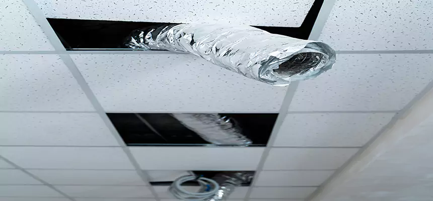 Affordable HVAC Sanitizing After Pest Removal in Syosset