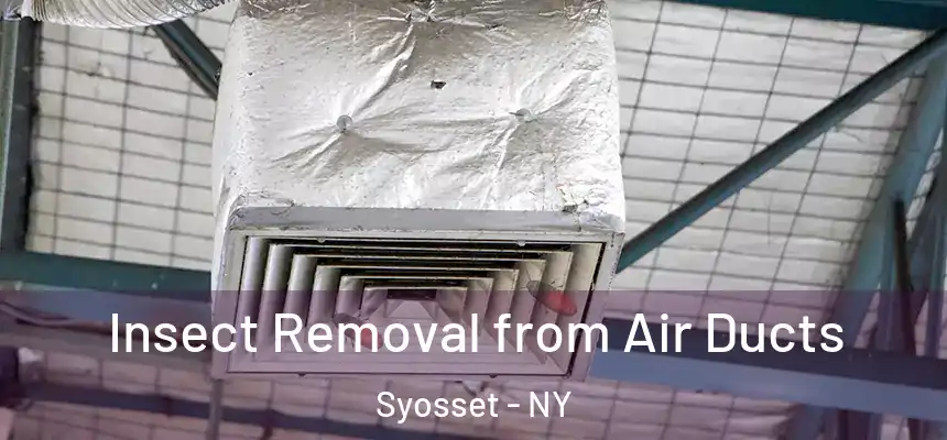 Insect Removal from Air Ducts Syosset - NY