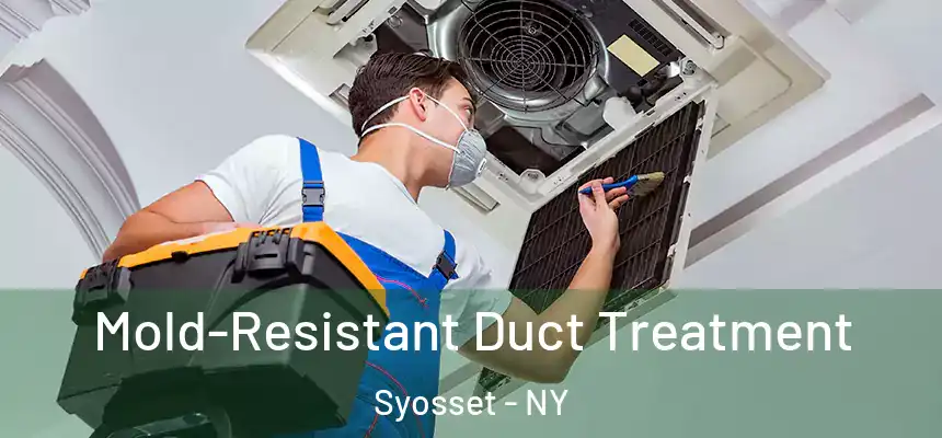  Mold-Resistant Duct Treatment Syosset - NY