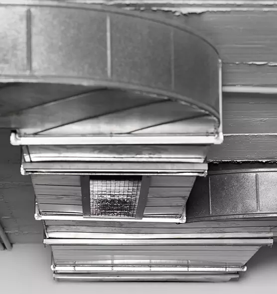 Professional Air Duct Pest Removal in Syosset, NY