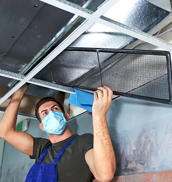 Professional Air Duct Pollen Cleaning in Syosset, NY