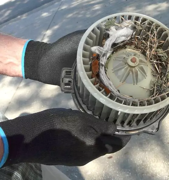 About Air Duct Rat Removal in Syosset, NY