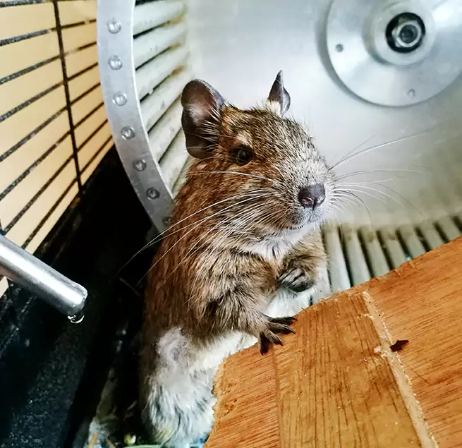 Why Homeowners & Businesses Trust Us Syosset, NY