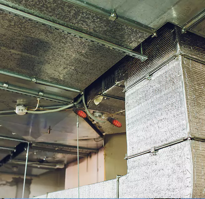 Why Homeowners & Businesses Trust Us Syosset, NY?