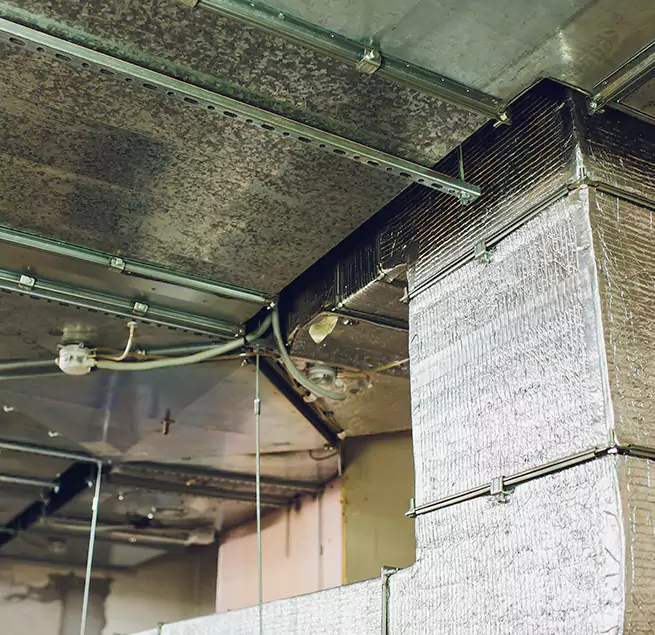 Why Homeowners & Businesses Trust Us in Syosset, NY?